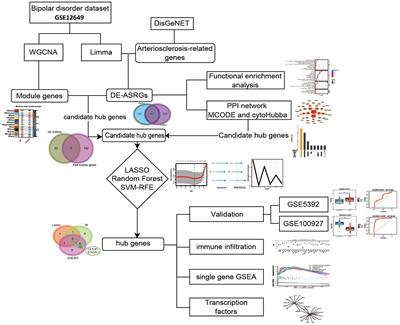 Identification of significant biomarkers for predicting the risk of bipolar disorder with arteriosclerosis based on integrative bioinformatics and machine learning